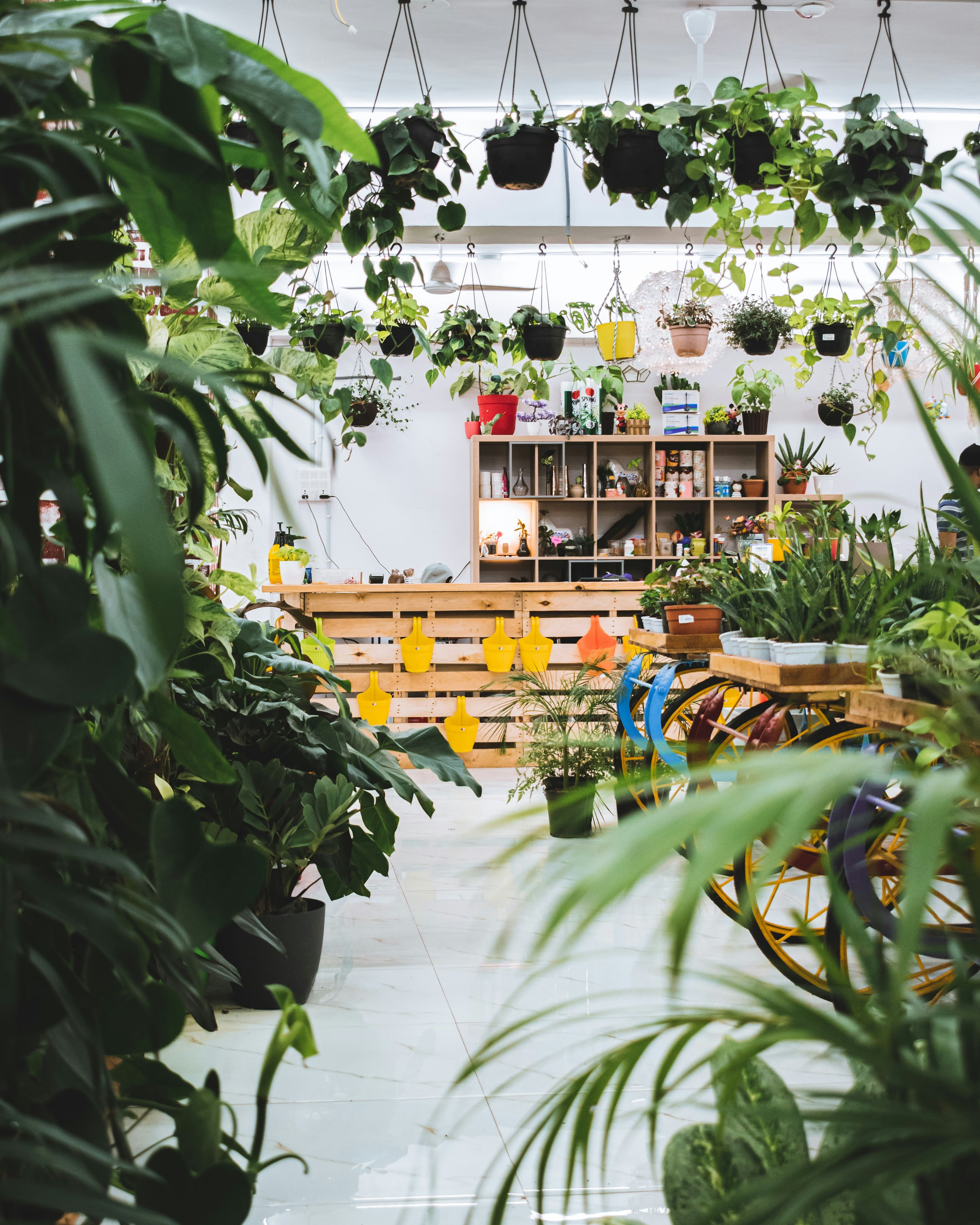 green plants on white ceramic floor tiles