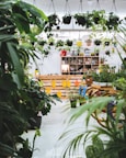 green plants on white ceramic floor tiles