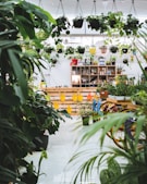 green plants on white ceramic floor tiles