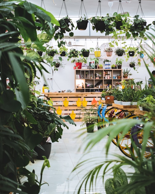 green plants on white ceramic floor tiles