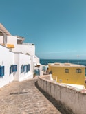 white and blue concrete houses near sea during daytime