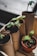 Several small seedlings with green leaves are planted in cardboard tubes and a single terracotta pot. The tubes resemble recycled toilet paper rolls, indicating an eco-friendly approach to gardening. The seedlings are placed in a wooden tray, and the focus is on their fresh green leaves emerging from the soil.