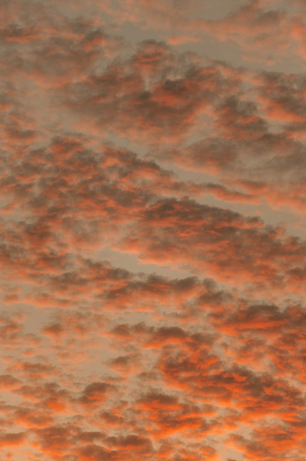 nuages blancs et ciel bleu