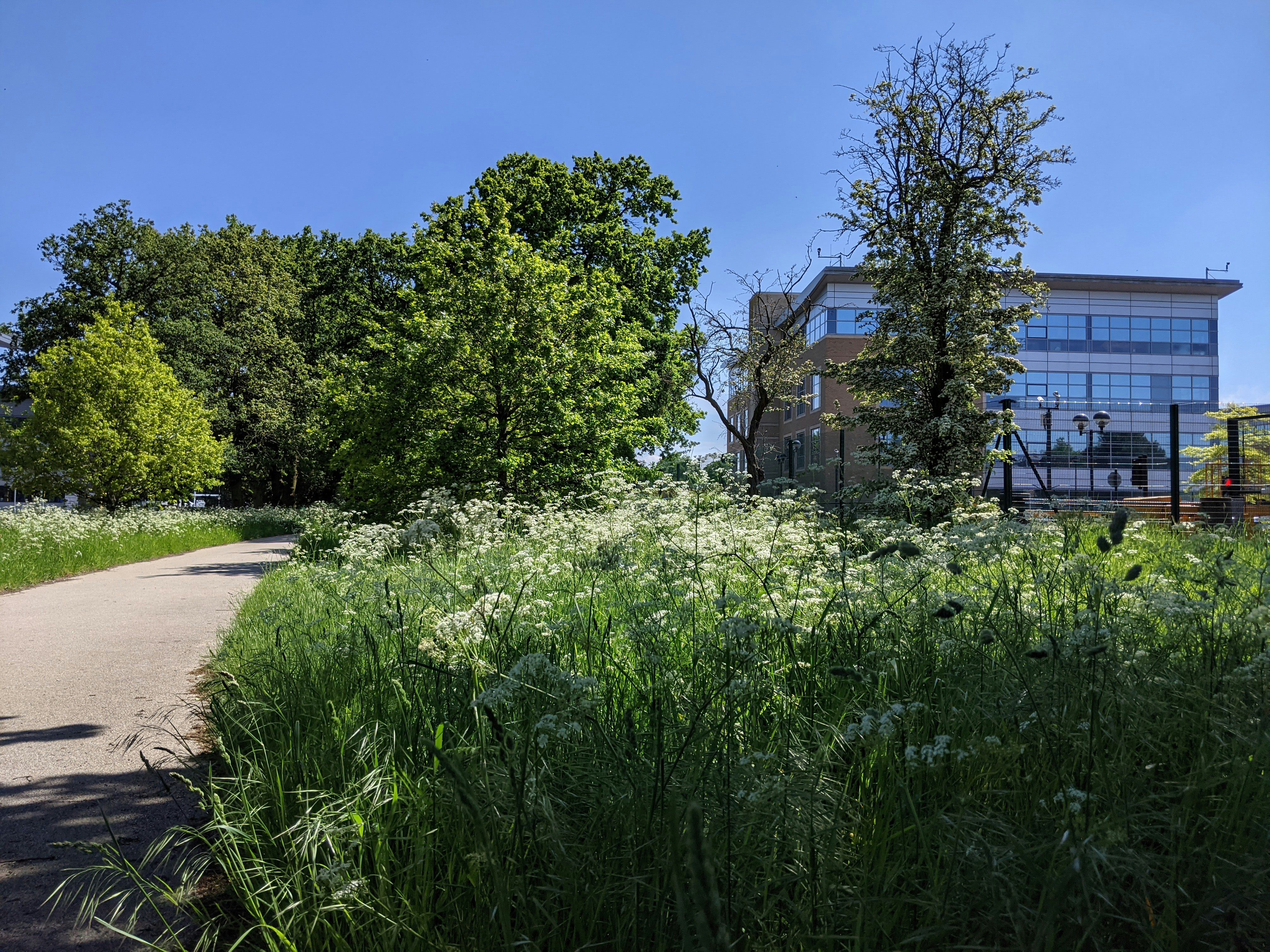 Photo by chrisgrahamdack