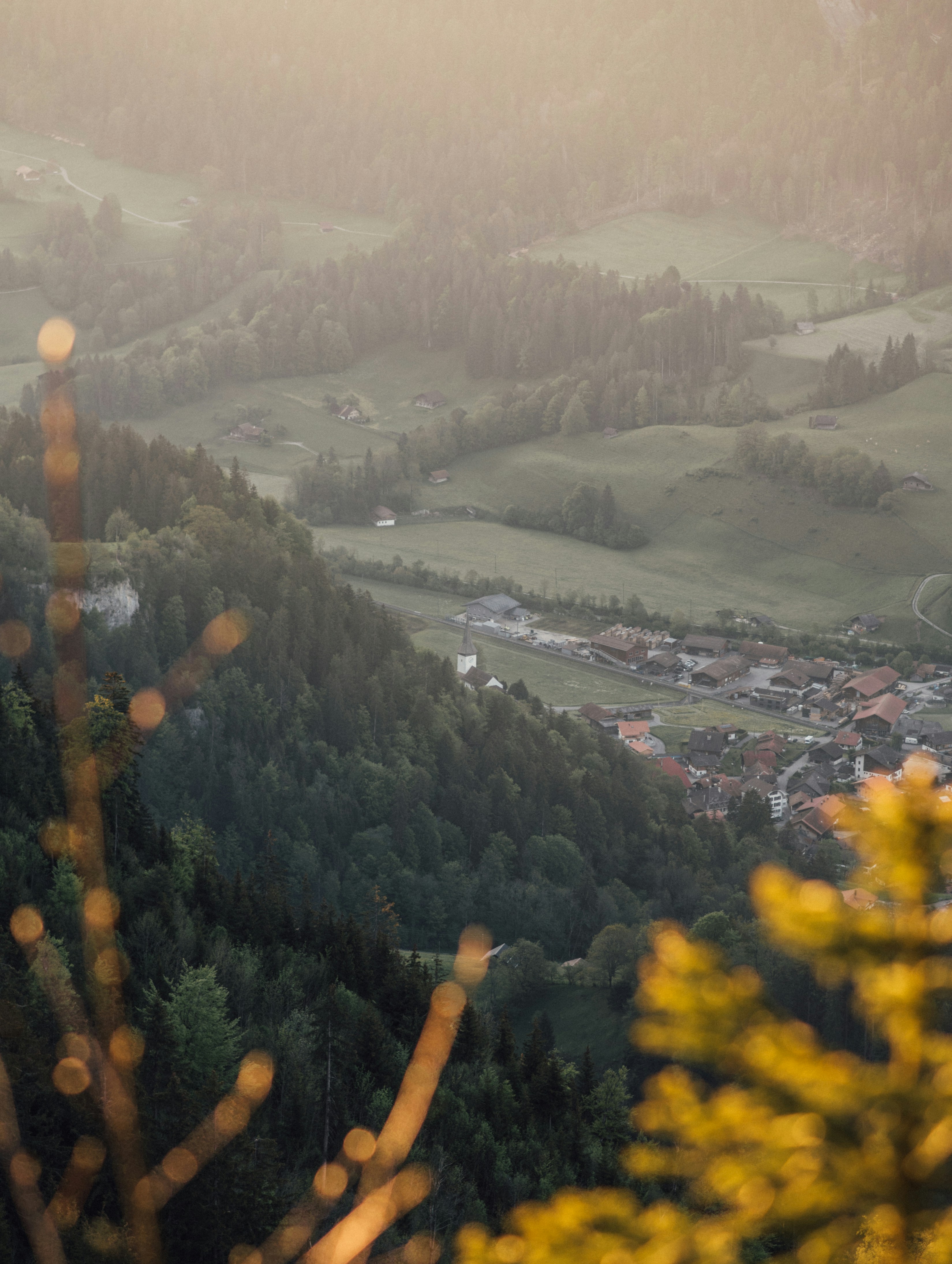 Photo by sven_pieren