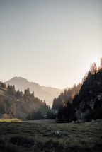 A serene mountain path leading to a distant temple under soft morning light