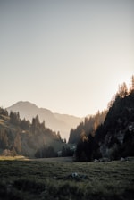 A serene mountain trail in Himachal Pradesh bathed in early morning light.