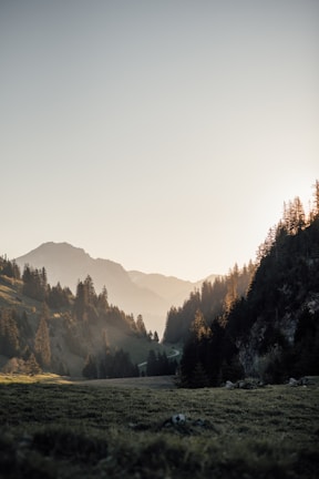 A scenic mountain trail bathed in early morning light, inviting a peaceful wander.