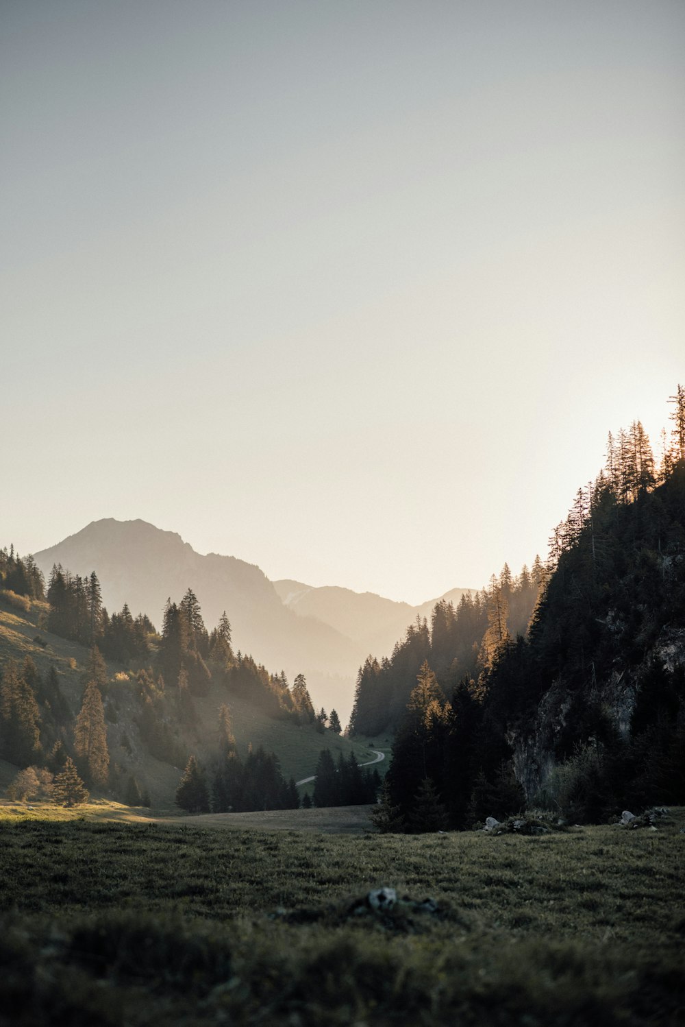 green trees on mountain during daytime