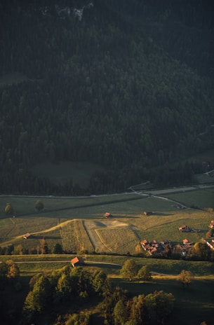 A serene rural landscape featuring expansive green fields with patches of sunlight, bordered by dense forests. Small red-roofed buildings are scattered across the fields, and a small road winds through the scenery.