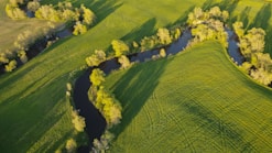 green grass field during daytime