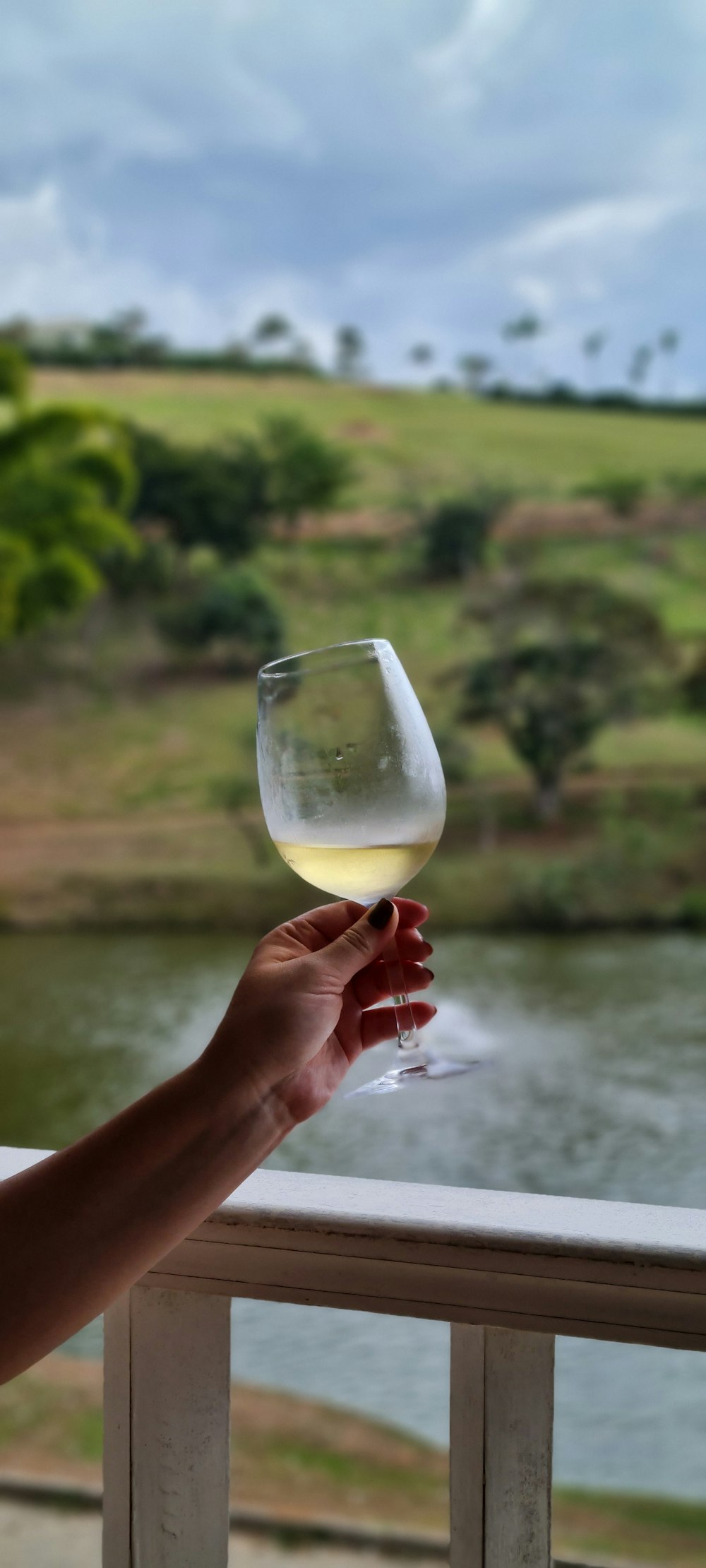 person holding clear wine glass with yellow liquid