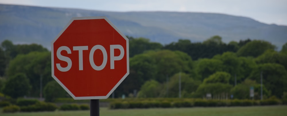 red stop road sign near green trees during daytime