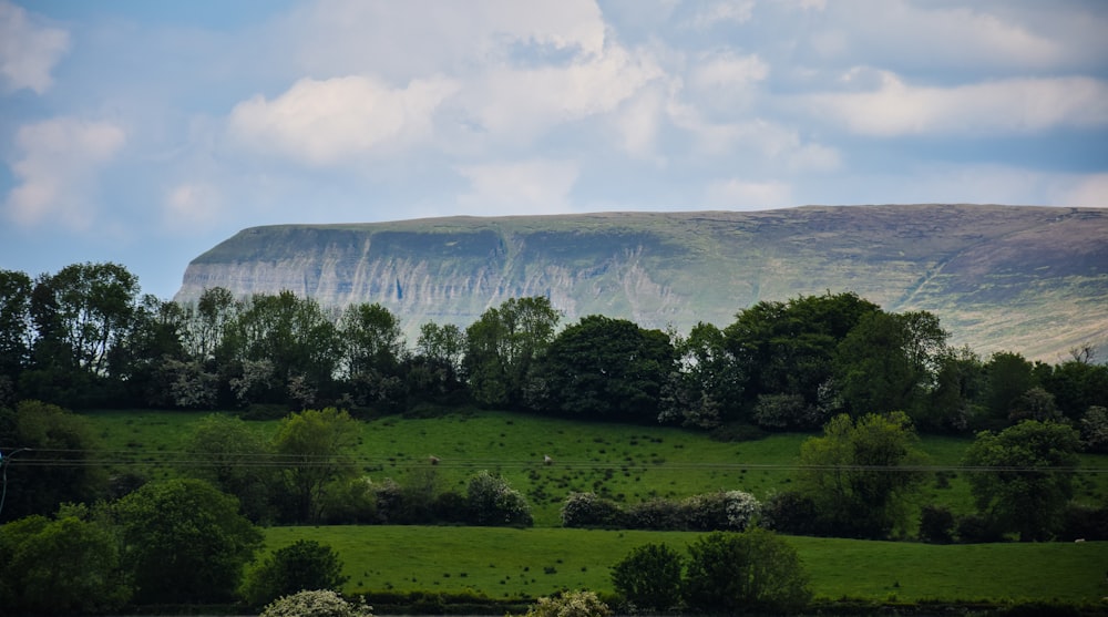 green trees near mountain under white clouds during daytime