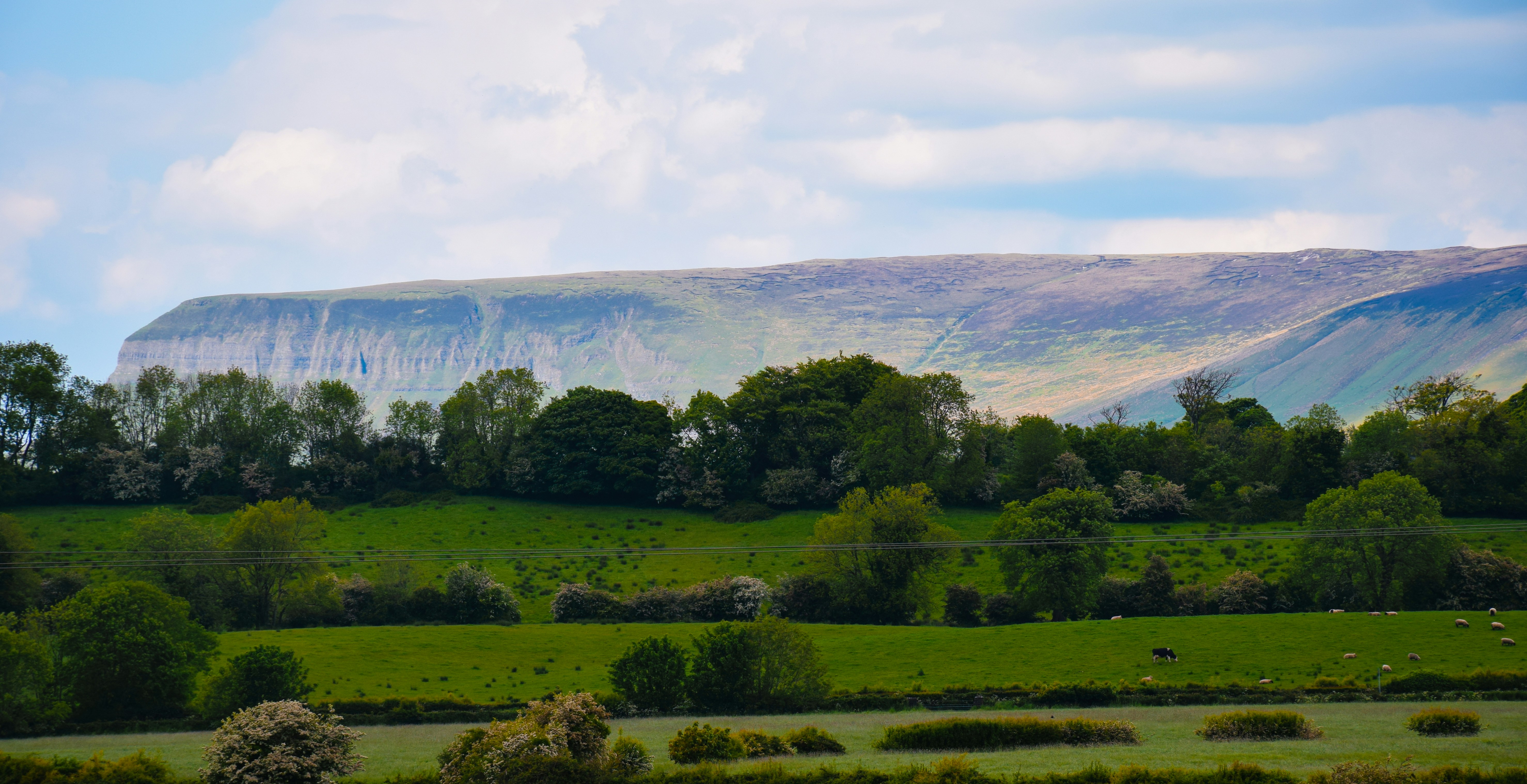 green trees on green grass field during daytime, A long view of Benbulbin mountain in Sligo, Ireland. 