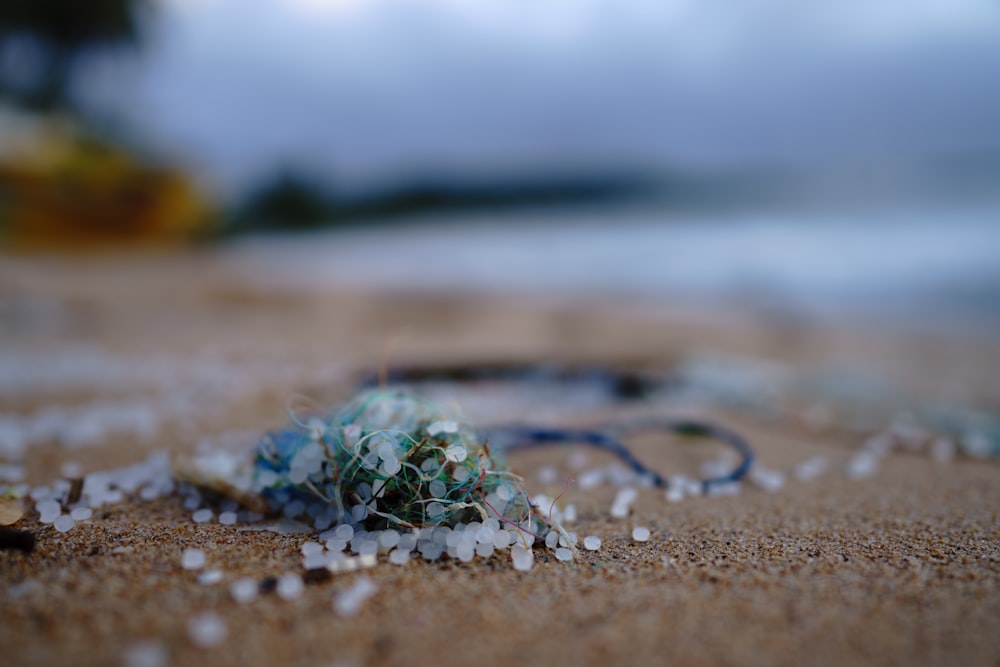 green and brown stone on brown sand