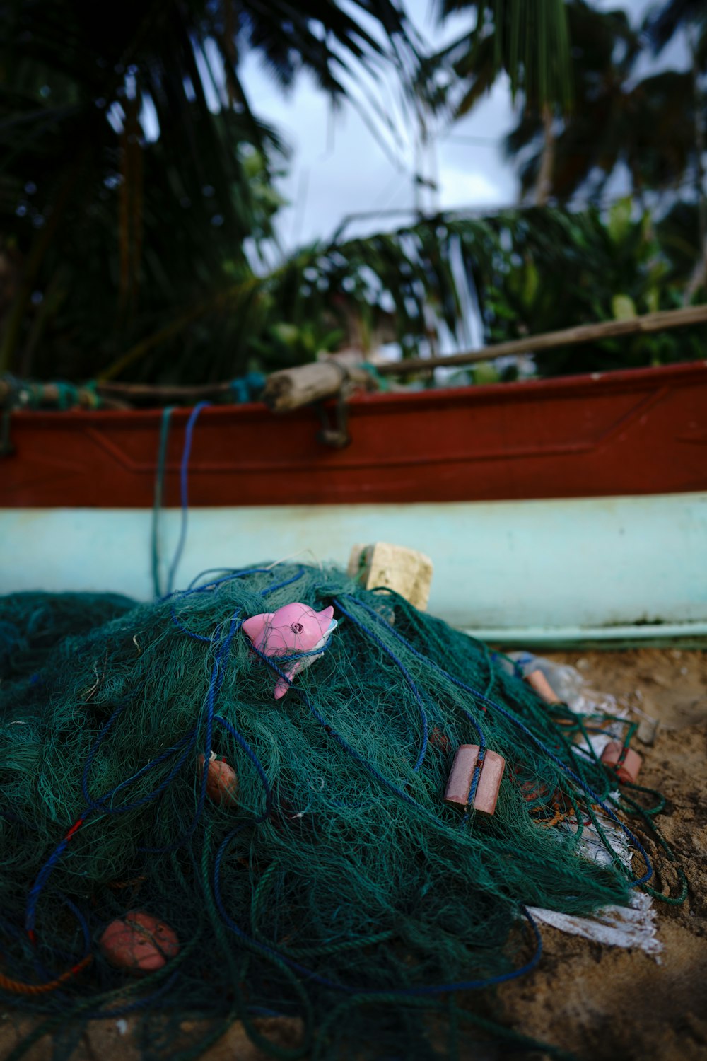 green and brown rope on brown soil