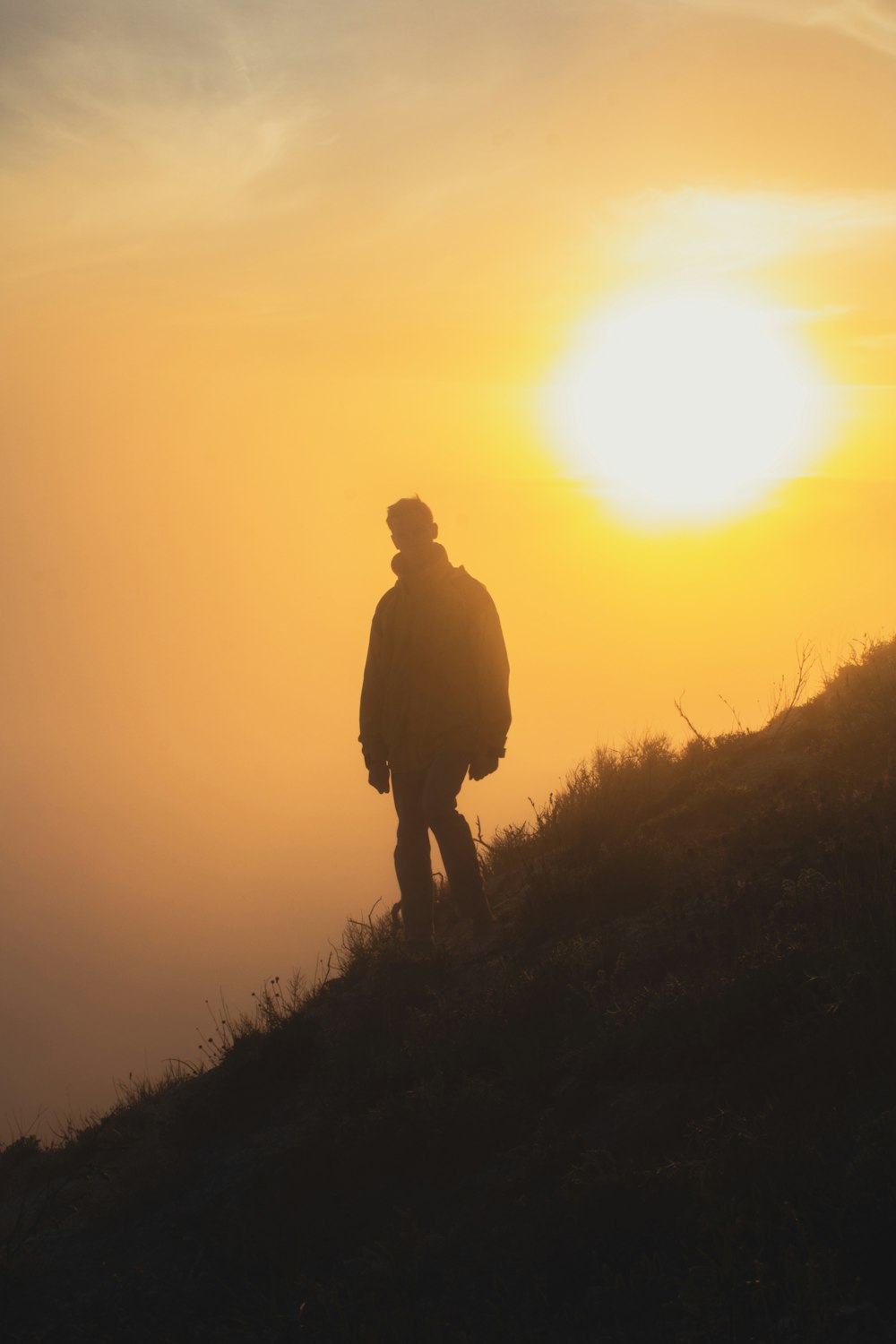 silhouette of man standing on grass field during sunset