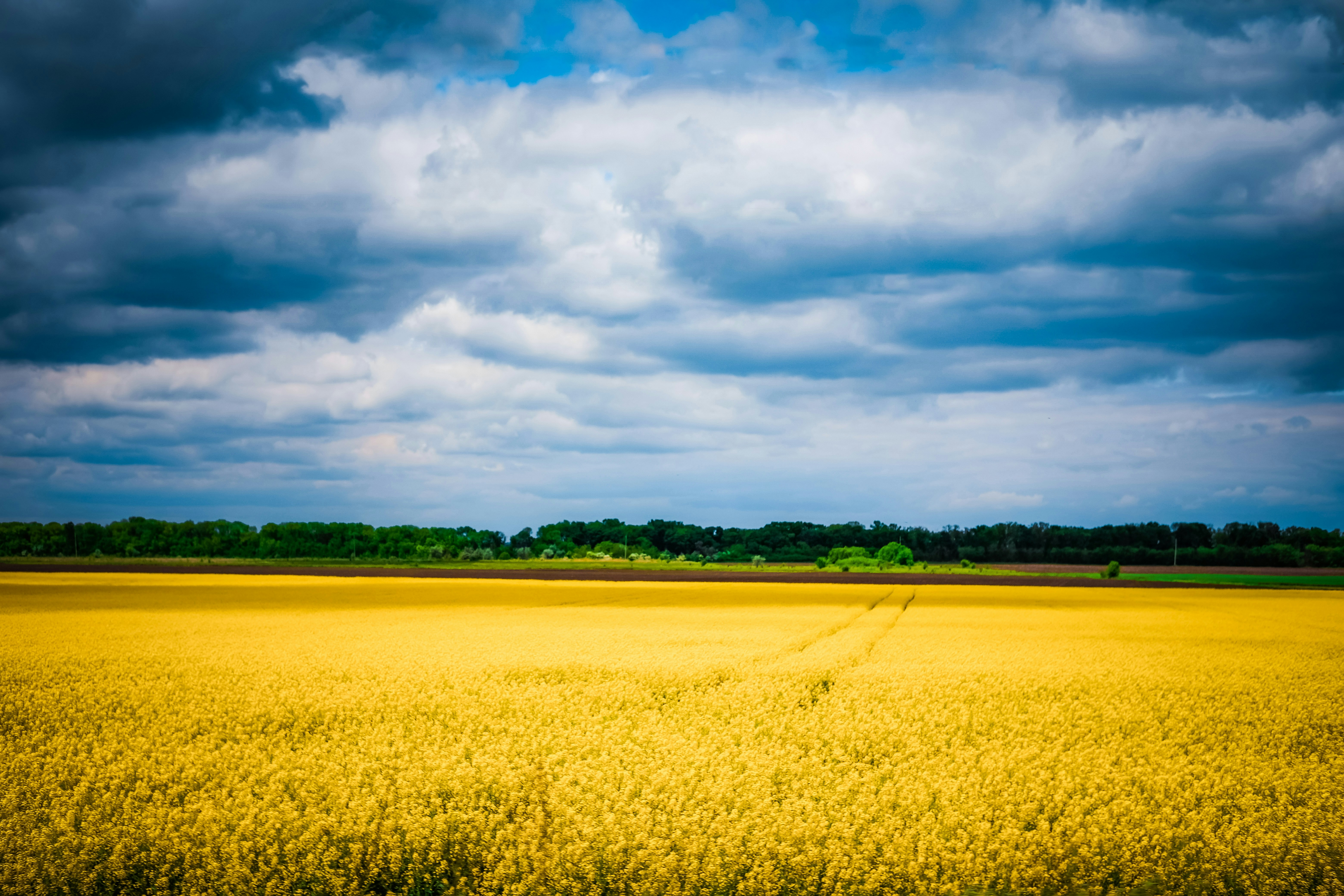 Ukraine Invasion Adds More Supply Chain Problems