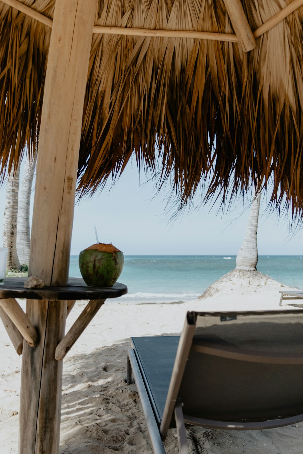 frutta di cocco sul tavolo bianco vicino alla spiaggia durante il giorno