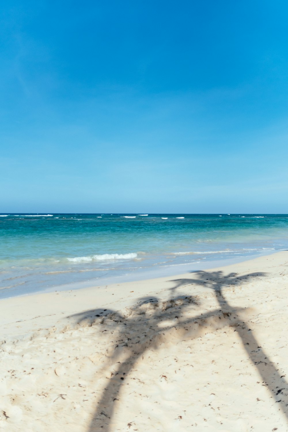 beach shore under blue sky during daytime