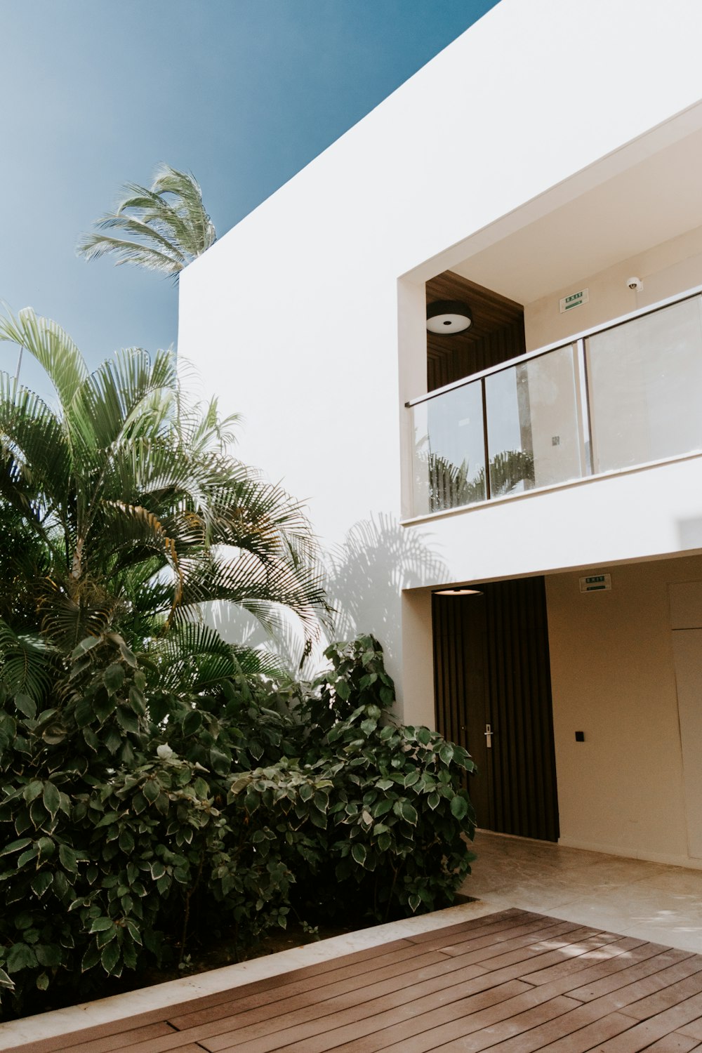 green palm tree near white concrete building