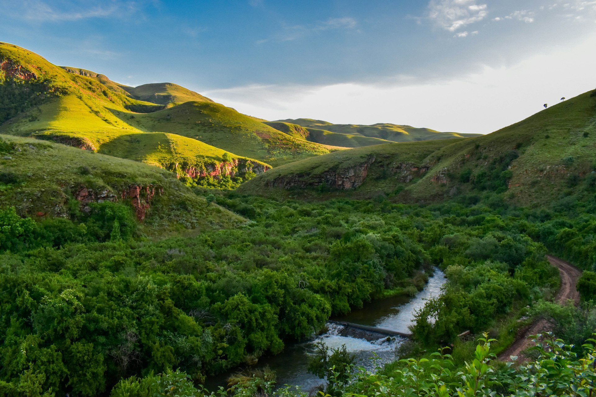 South Africa World in One Country Guided Tour