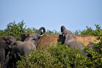 Hidden Attractions in Kruger National Park That Most Tourists Walk Right Past