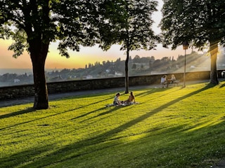 person sitting on green grass field near body of water during daytime