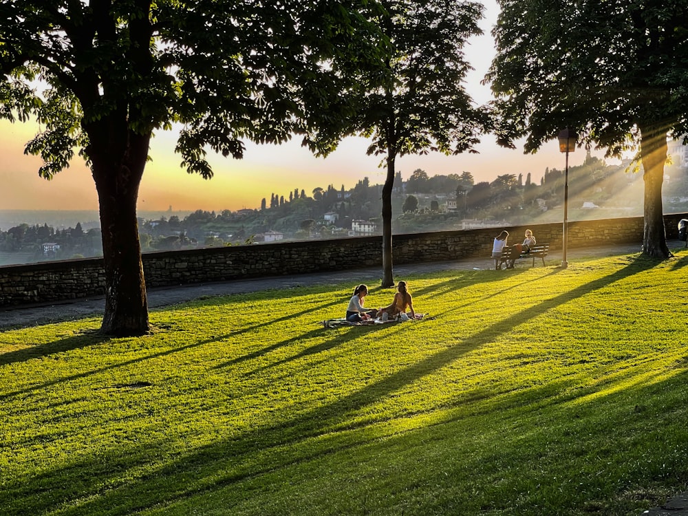 person sitting on green grass field near body of water during daytime