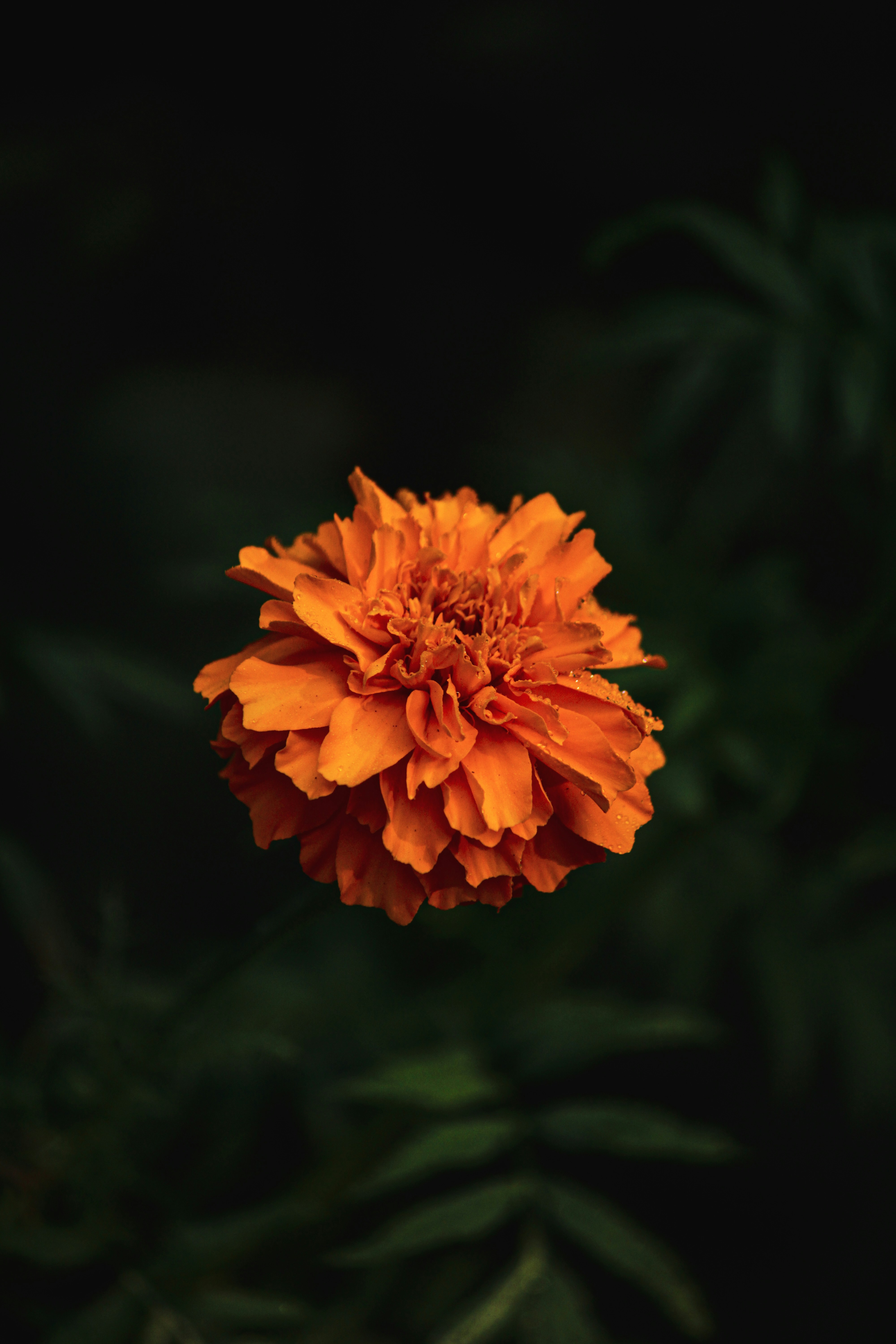 Photo by sunshine5411