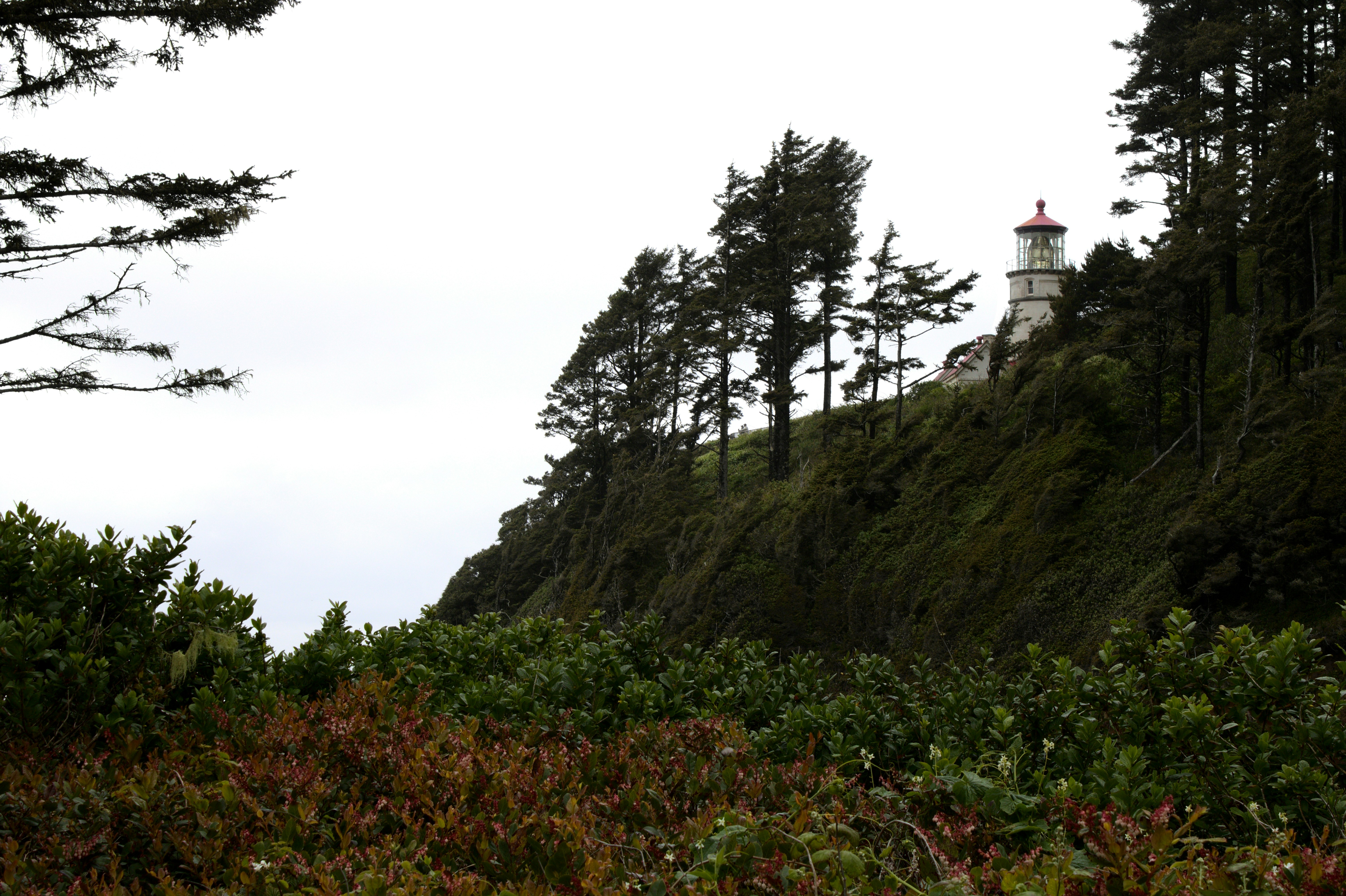 White and black lighthouse on top of mountain