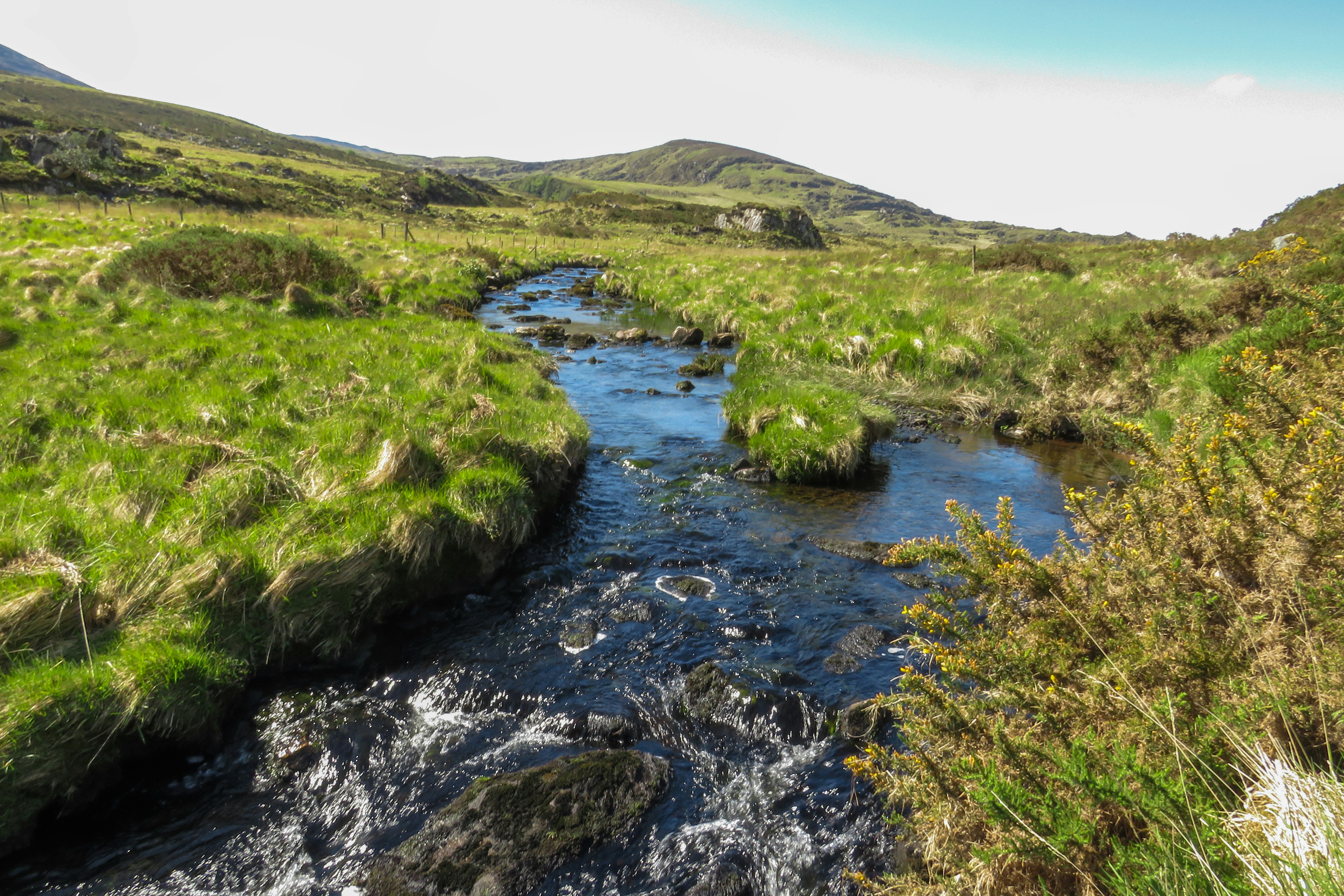 Photo by mark_lawson