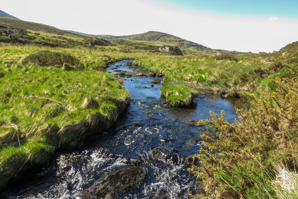 green grass field and river under blue sky during daytime