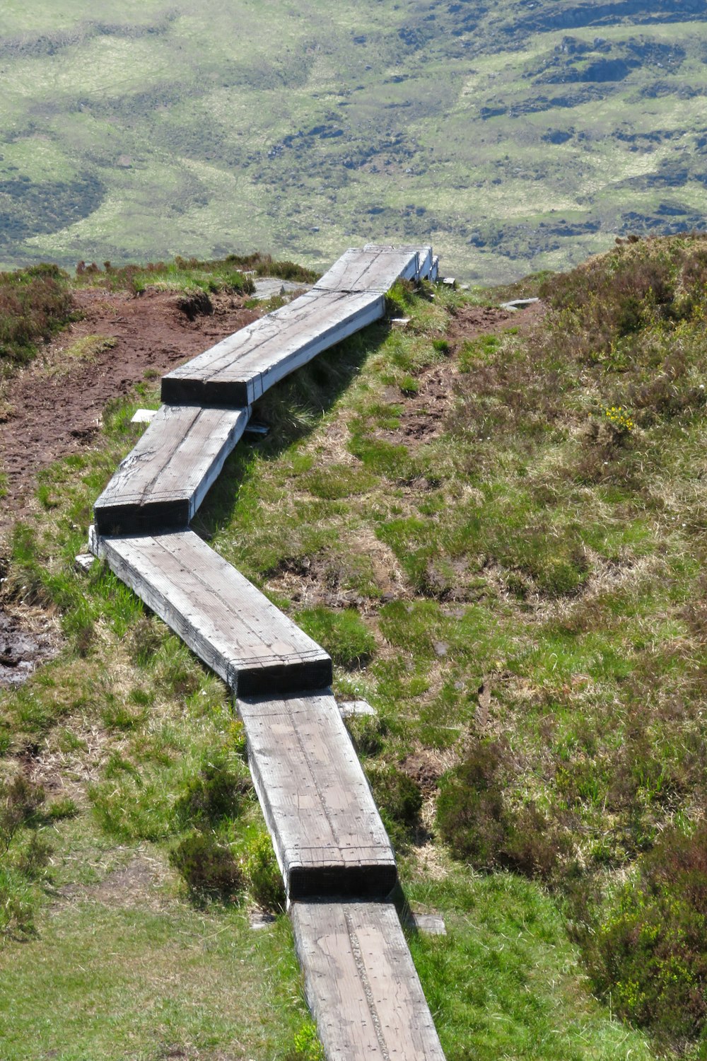 brown wooden dock on green grass field during daytime