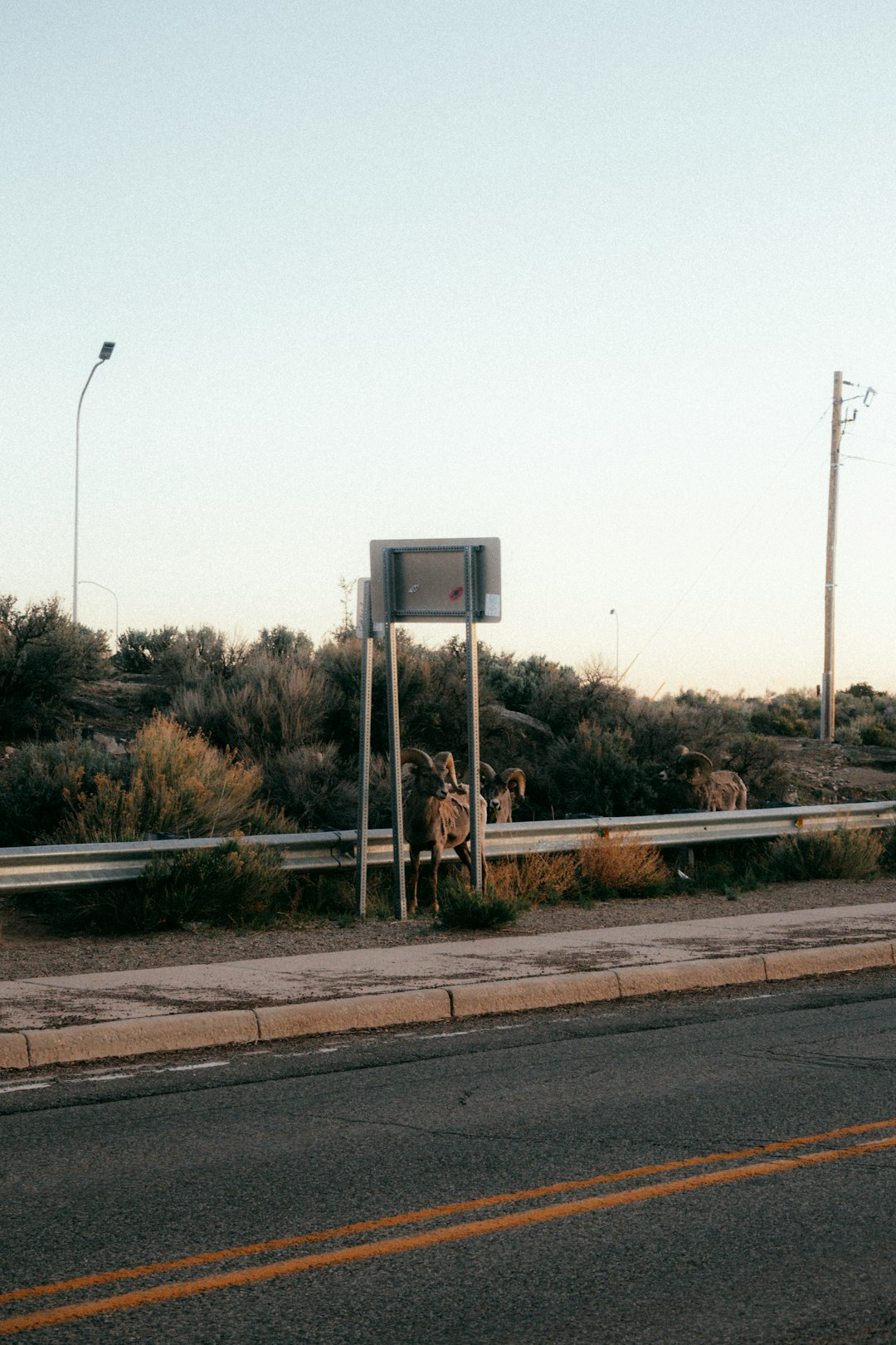 gray and white basketball hoop near road during daytime