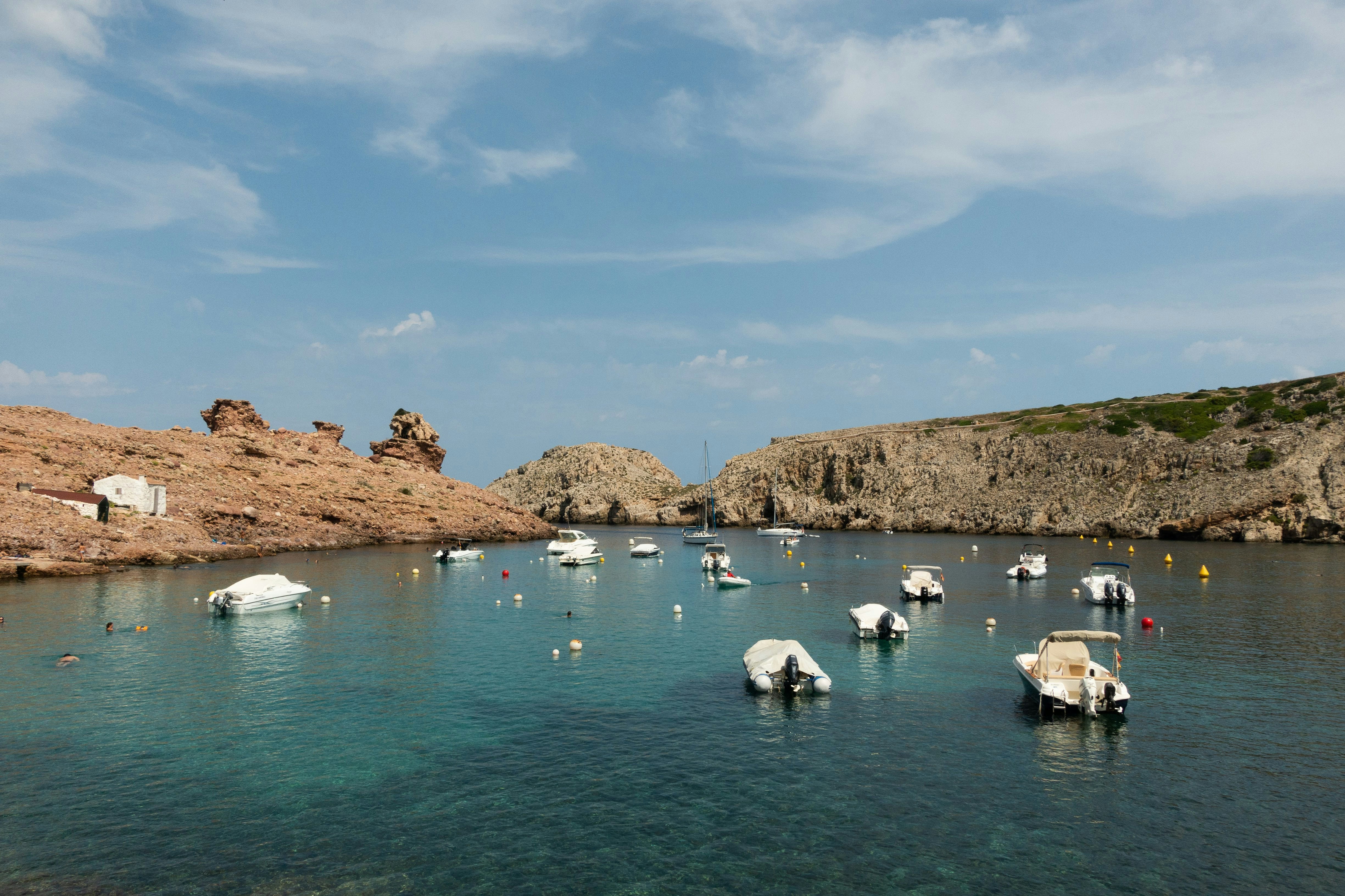 group of sheep on water during daytime