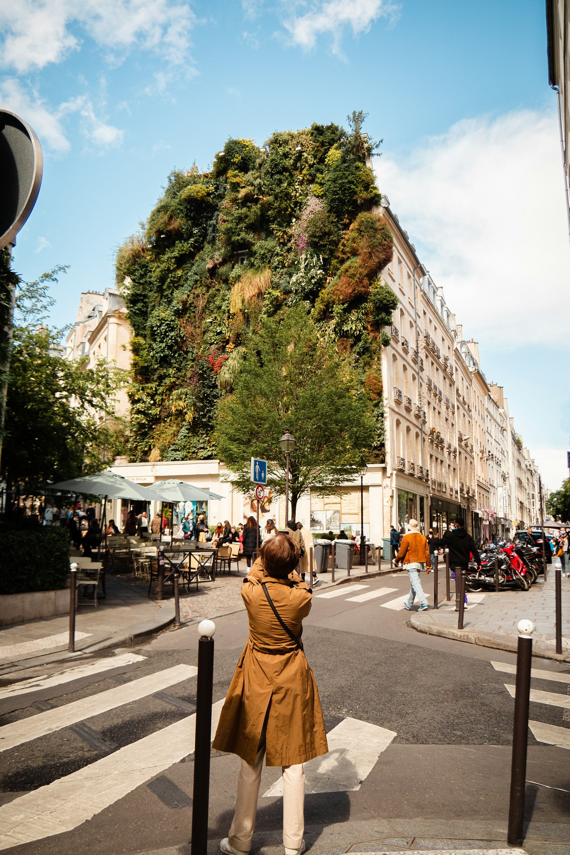 A woman stands on a crossing on a city street to photograph a green wall on the side of a tall building 