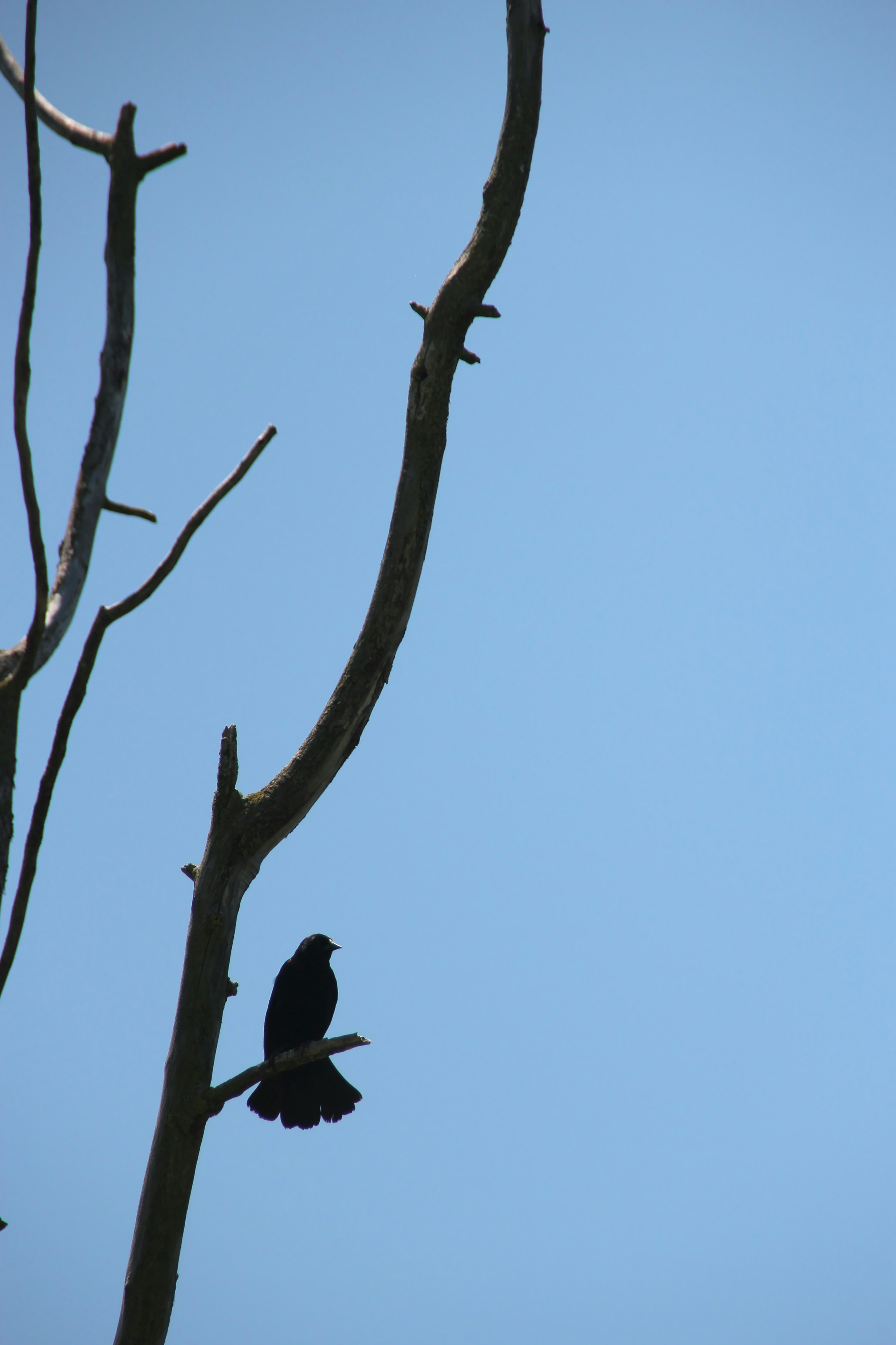 Photo by mrgreatheart