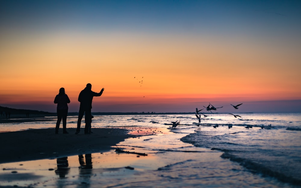 silhouette of 2 people walking on beach during sunset