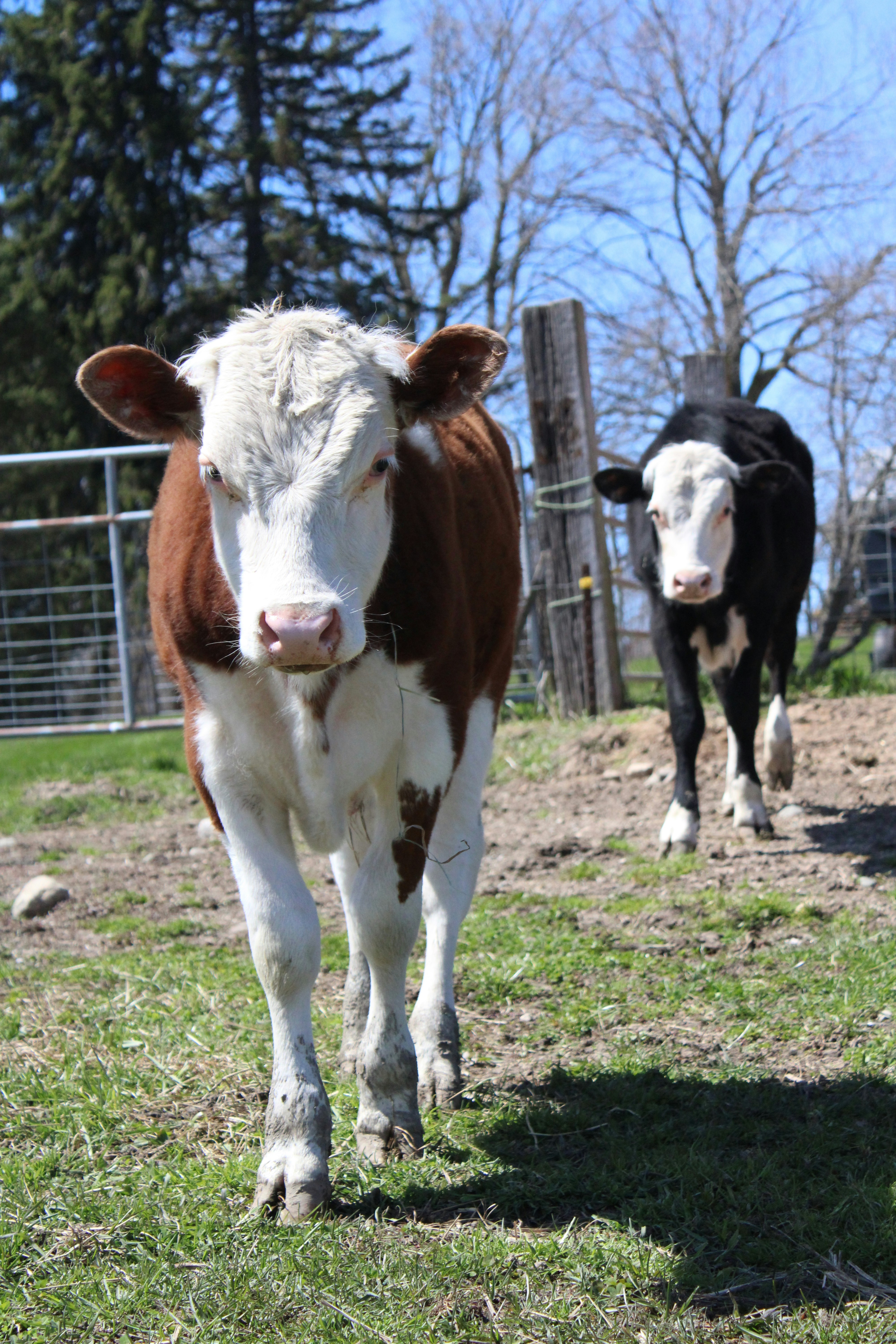 Photo by studerphotography