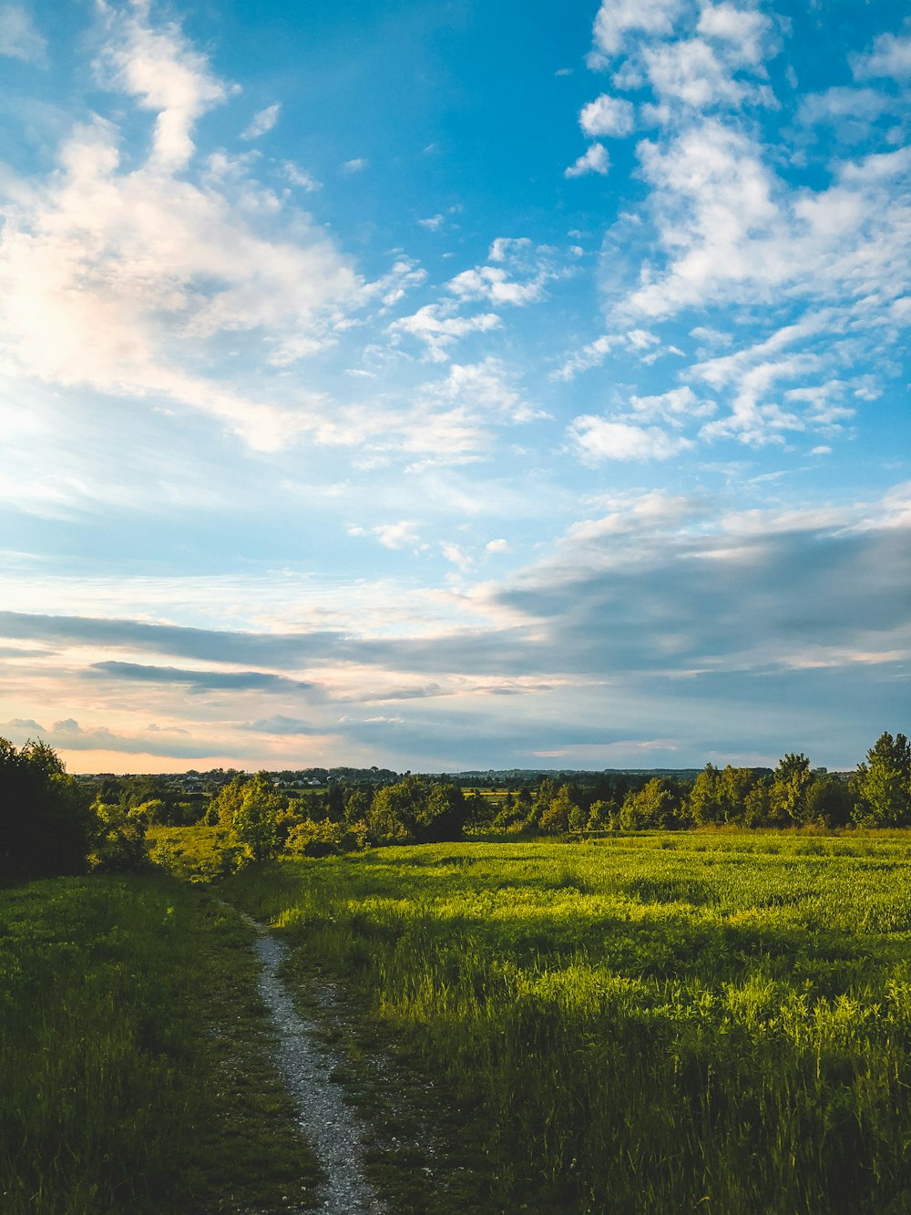 green grass field near river under blue sky during daytime