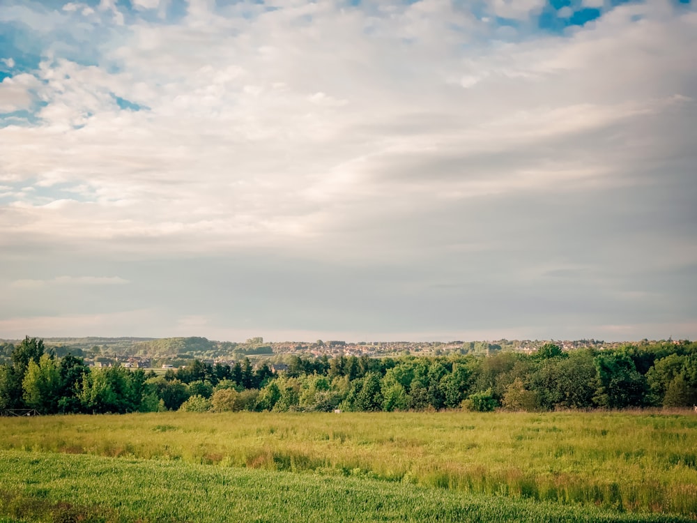 green grass field under white clouds during daytime