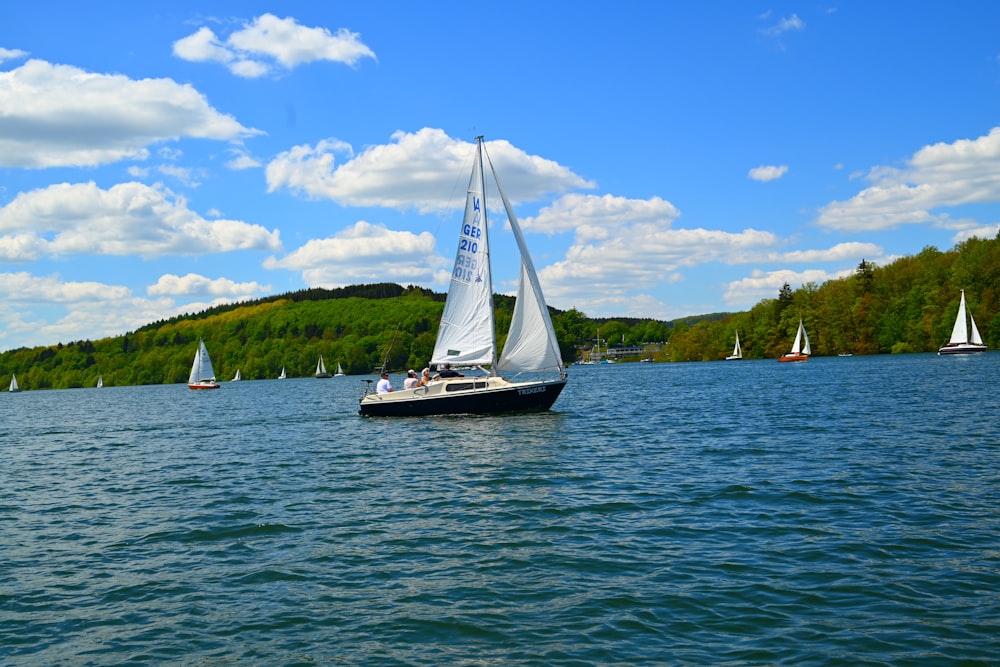 white sailboat on sea under blue sky during daytime