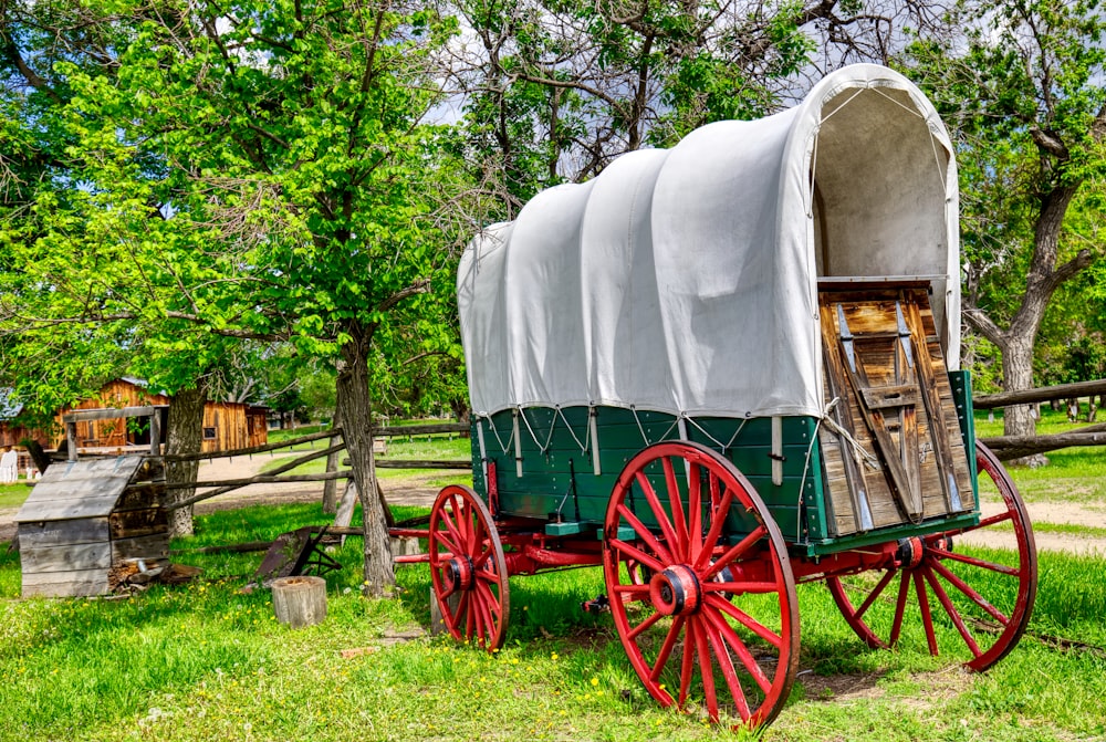 green and brown wooden carriage on green grass field during daytime