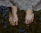 Happy woman walking barefoot on grass after podiatry session