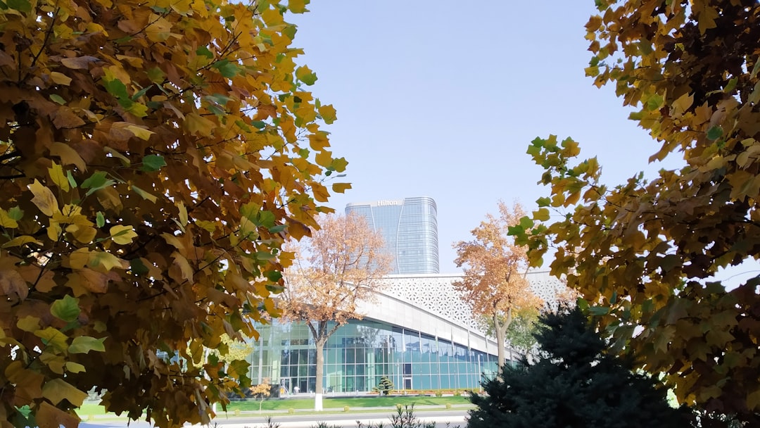 Points Bonanza: Hilton Expands Benefits for Amex Surpass and Aspire… — Points Bonanza