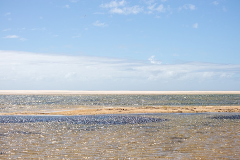 brown sand near body of water during daytime