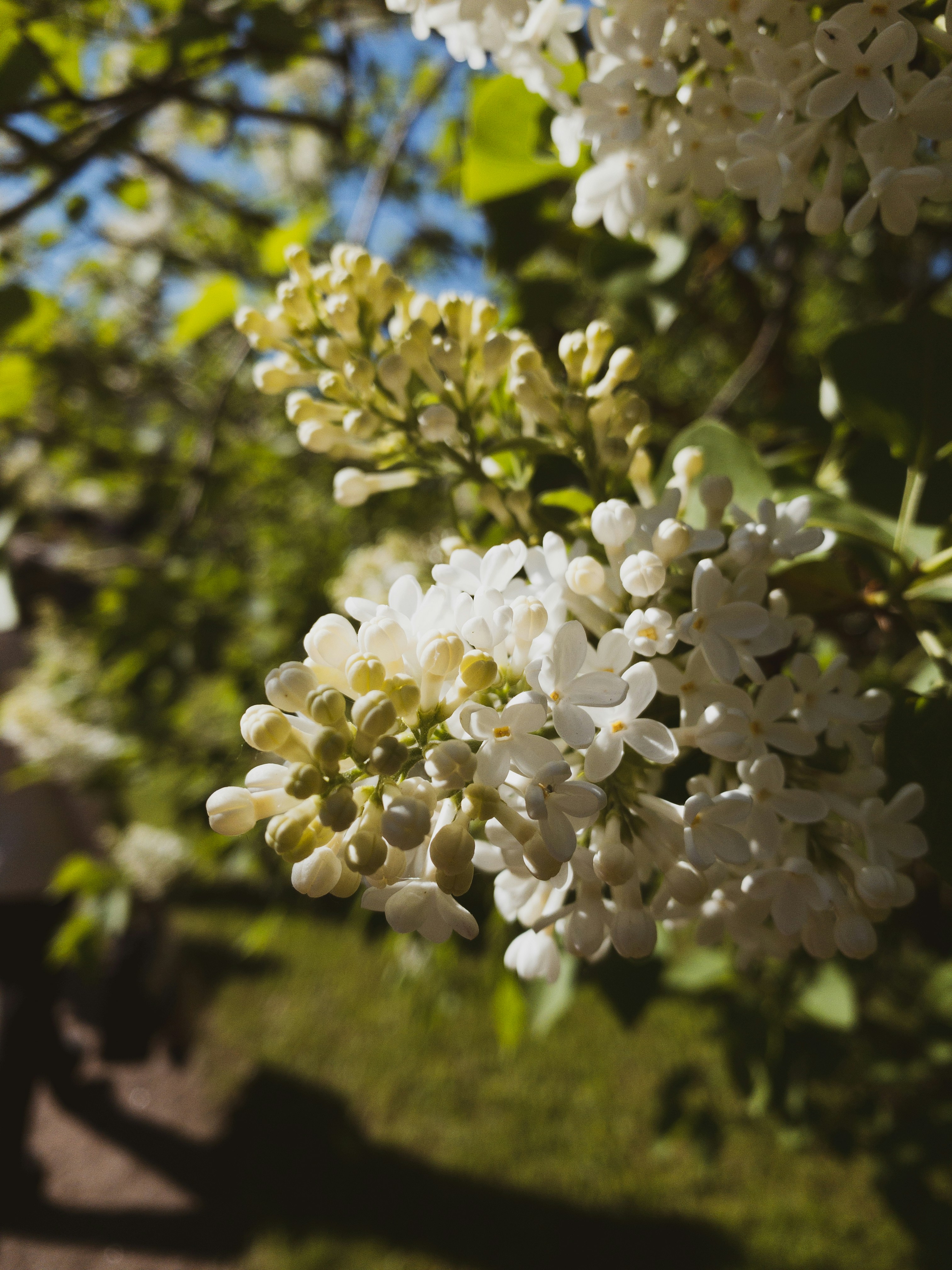 Photo by tsariovaanna