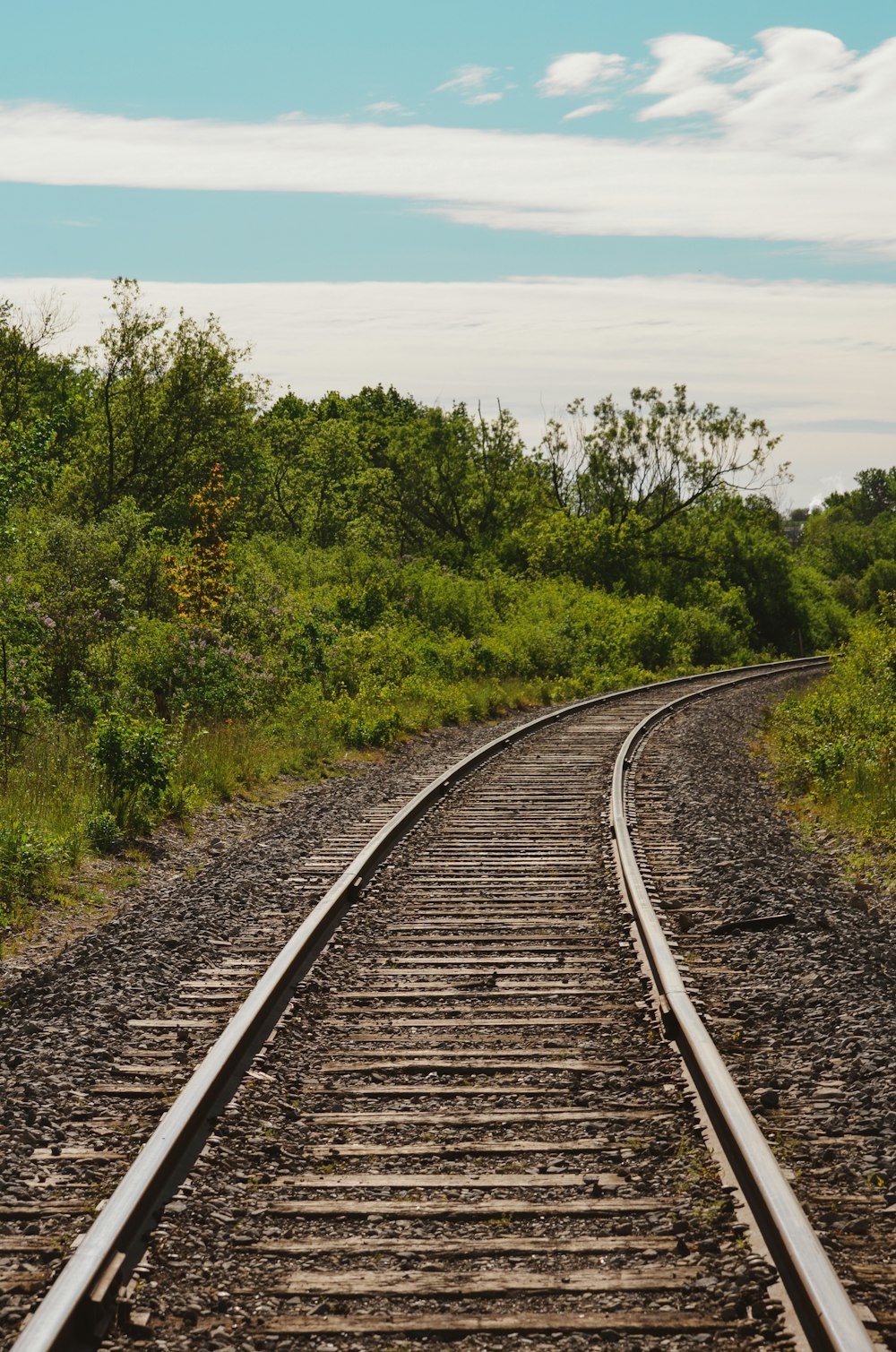 black metal train rail near green trees during daytime